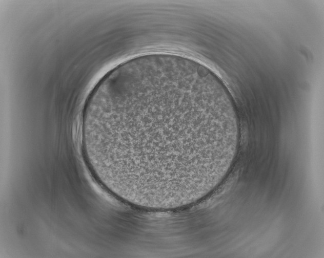 X0000110881515200907301423