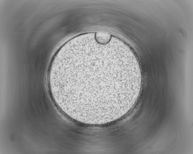 X0000110881517200907301423