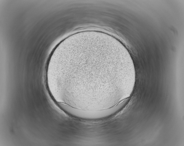 X0000110881518200907301423