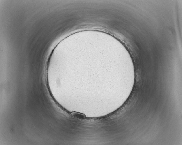 X0000110881520200907301423