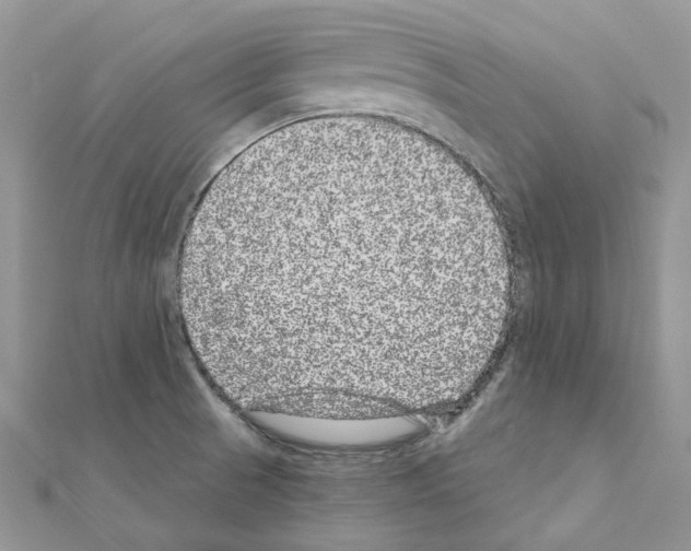 X0000110881521200907301423