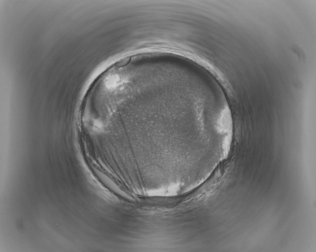 X0000110881522200907301423