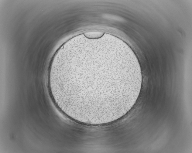 X0000110881523200907301423