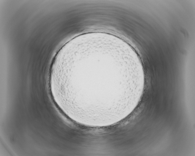 X0000110881525200907301423