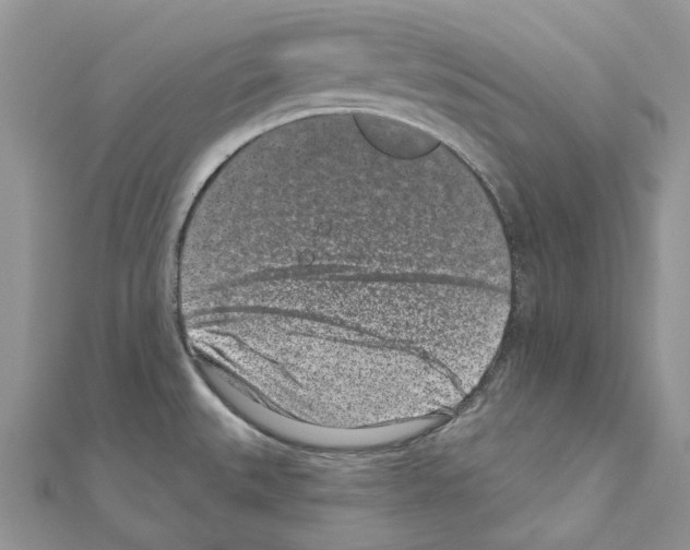 X0000110881527200907301423