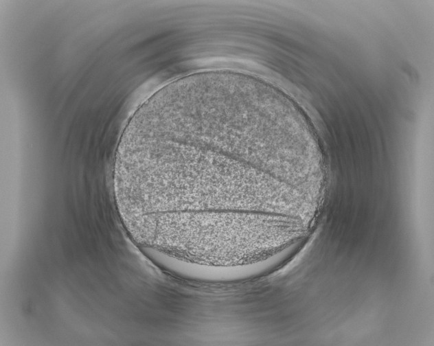 X0000110881529200907301423