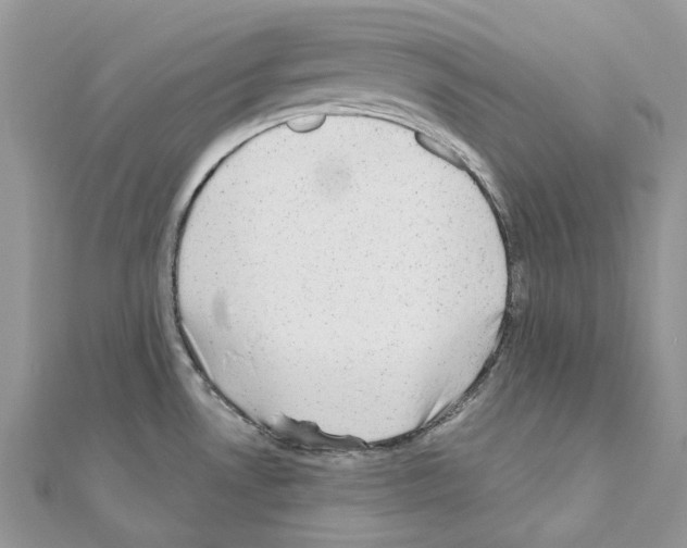 X0000110881530200907301423