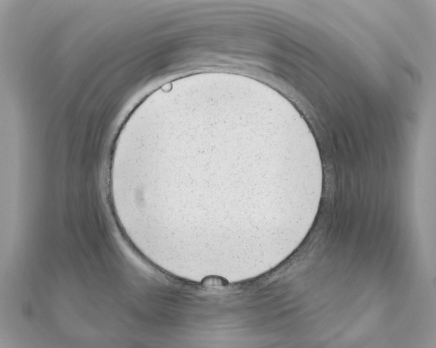 X0000110881531200907301423