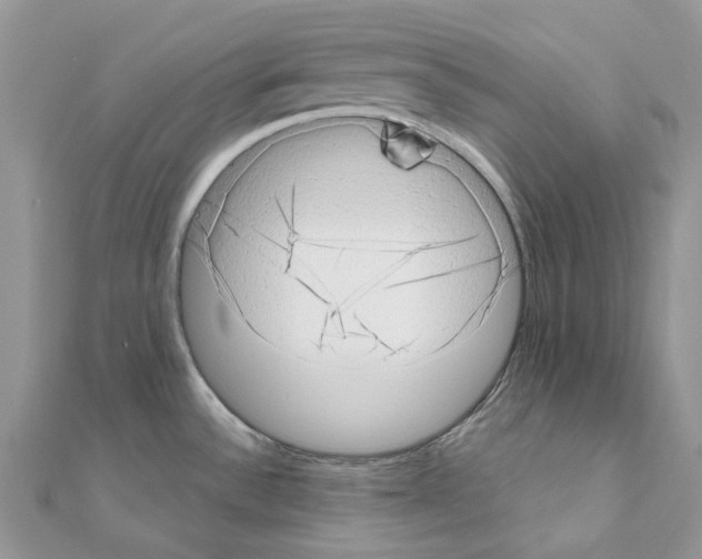 X0000110881532200907301423