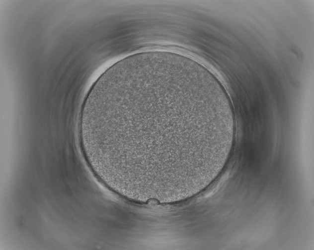 X0000110881533200907301423