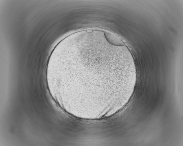 X0000110881534200907301423