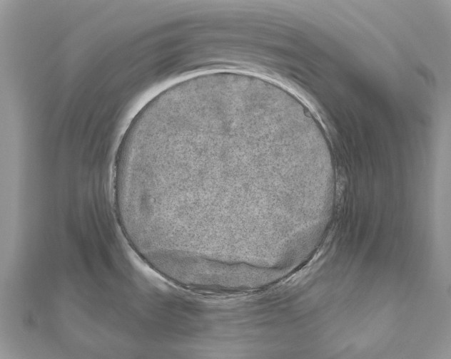 X0000110881535200907301423