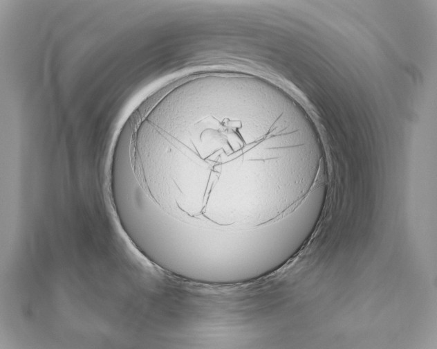 X0000110881536200907301423