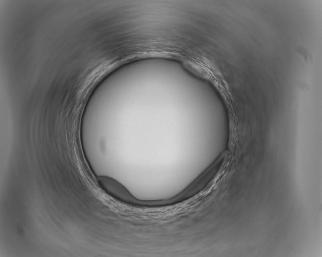 X0000110890001200906181016