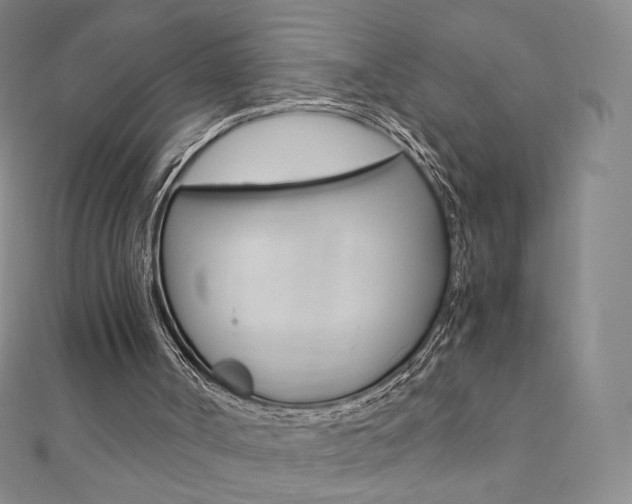 X0000110890002200906181016