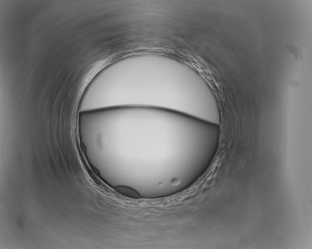 X0000110890003200906181016