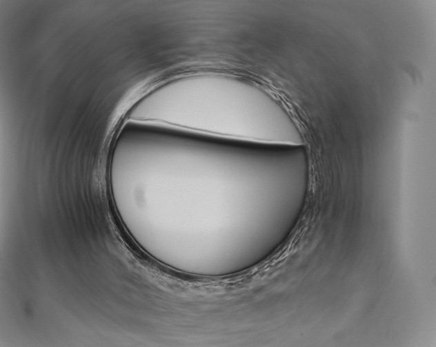 X0000110890004200906181016