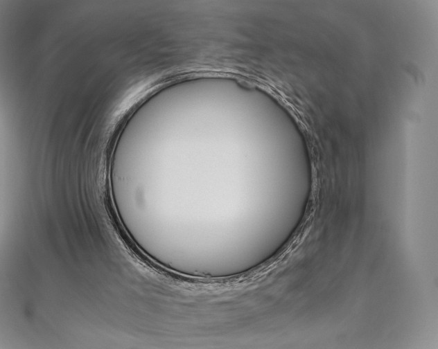 X0000110890005200906181016