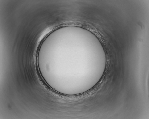 X0000110890006200906181016