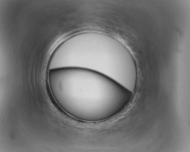 X0000110890007200906181016