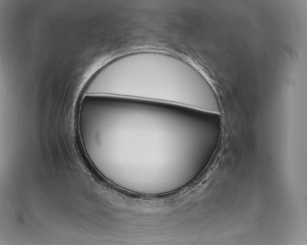 X0000110890008200906181016