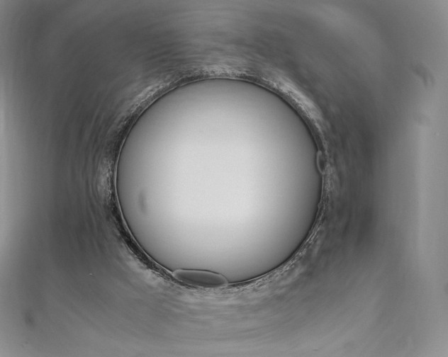 X0000110890009200906181016