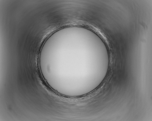 X0000110890010200906181016