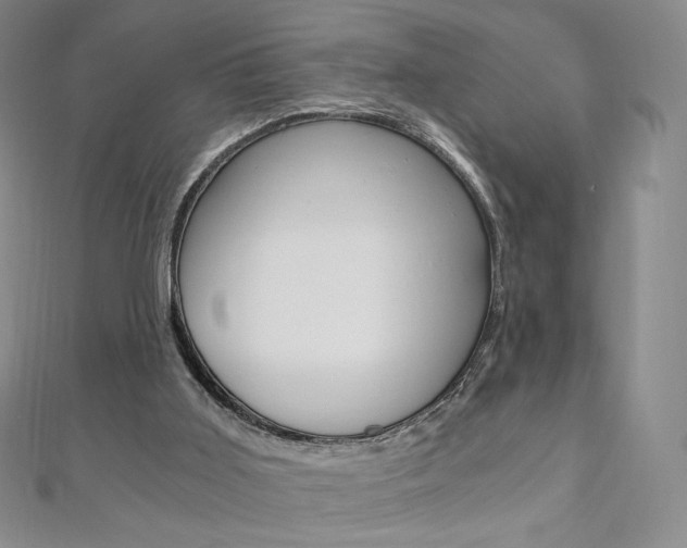 X0000110890011200906181016