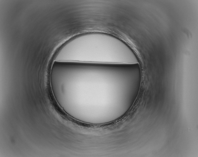 X0000110890012200906181016