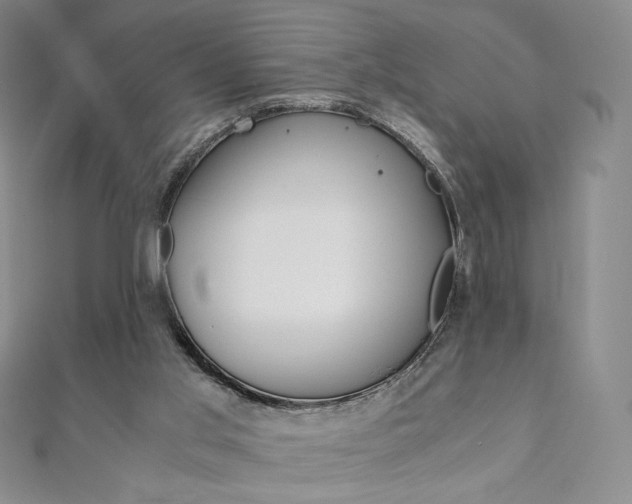 X0000110890013200906181016