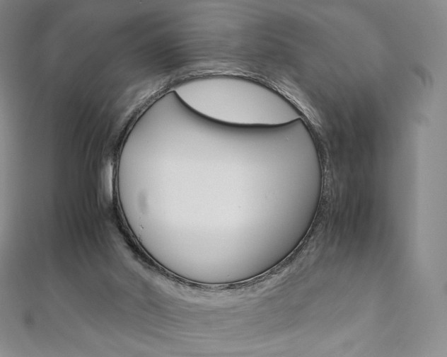 X0000110890014200906181016