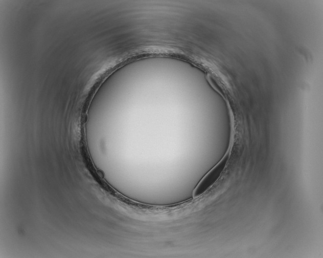 X0000110890015200906181016