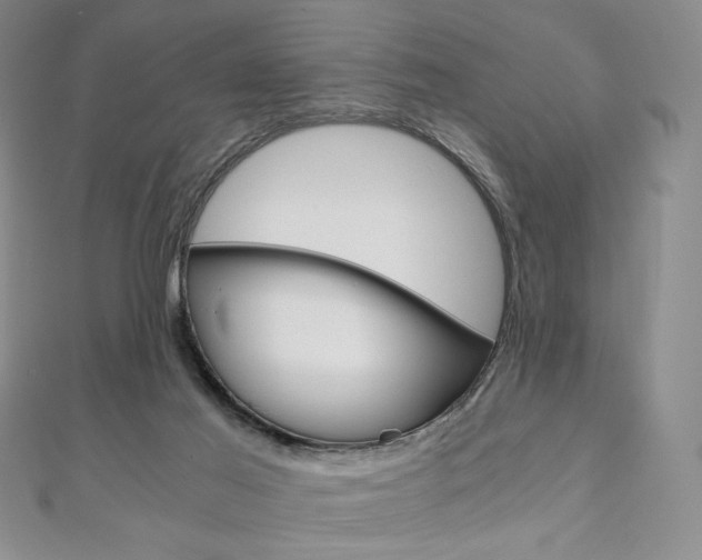 X0000110890021200906181015