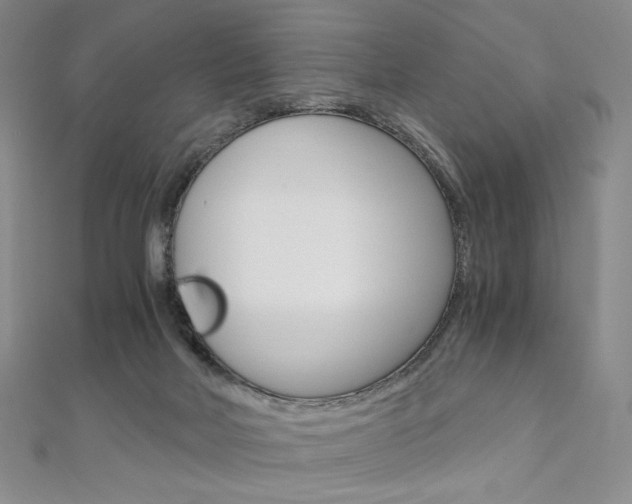 X0000110890026200906181015
