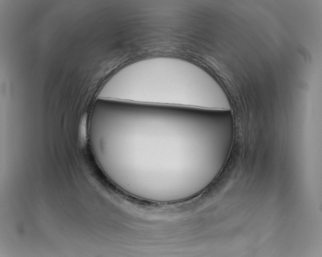X0000110890028200906181015