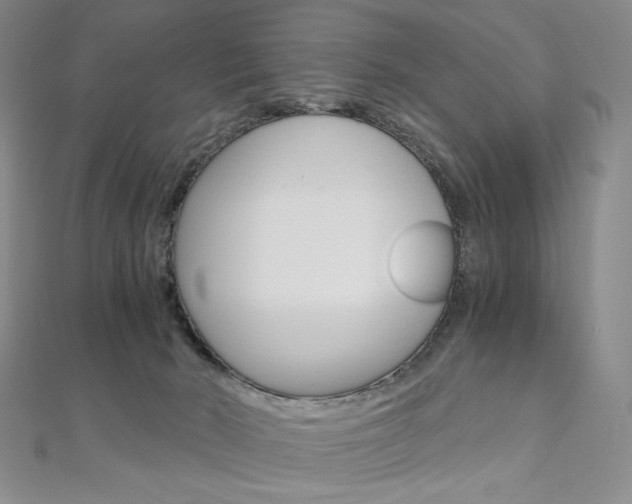 X0000110890030200906181015