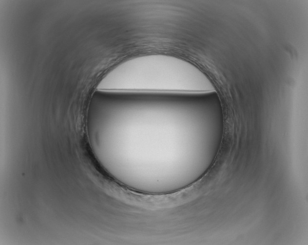 X0000110890031200906181015