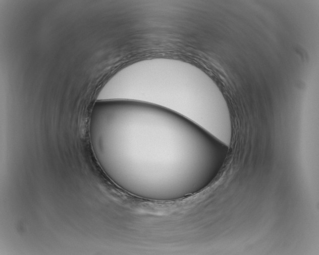 X0000110890033200906181015