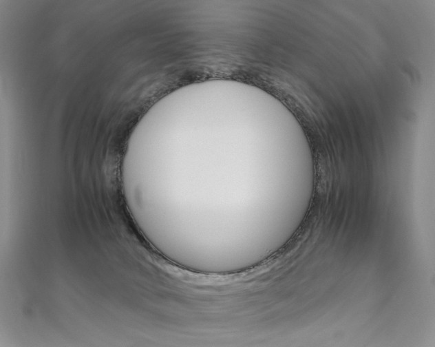 X0000110890034200906181015