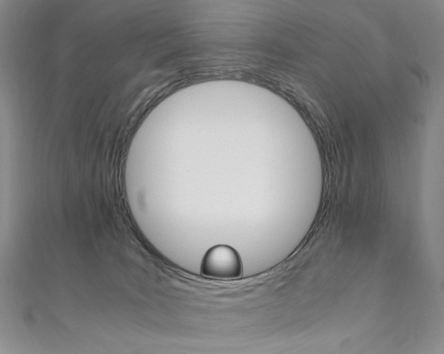 X0000110890035200906181015