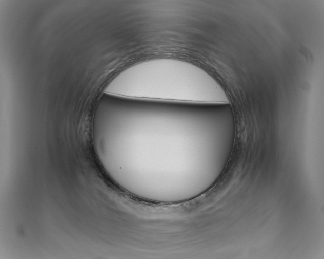 X0000110890036200906181015