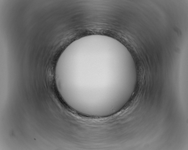 X0000110890040200906181015