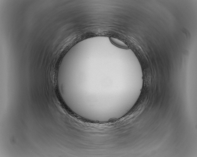 X0000110890044200906181015