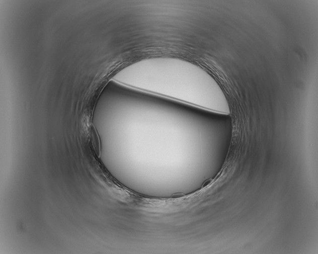 X0000110890045200906181015
