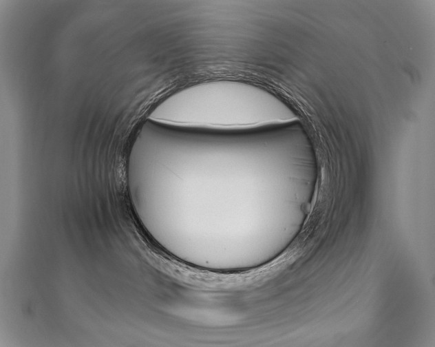 X0000110890048200906181015