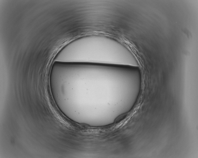 X0000110890049200906181014