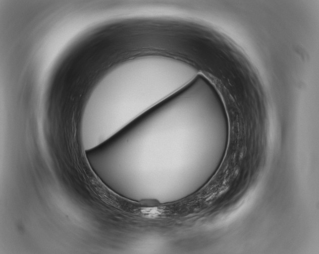 X0000110890050200906181014