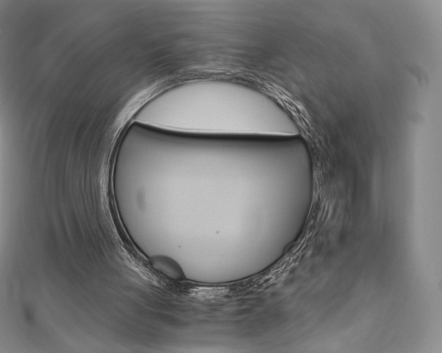 X0000110890051200906181014