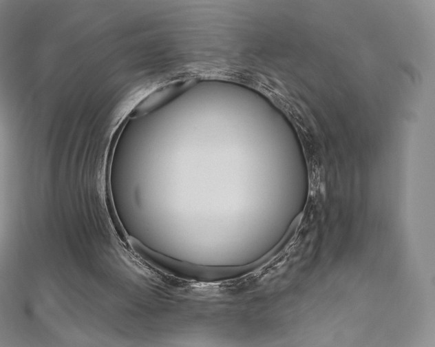 X0000110890052200906181015