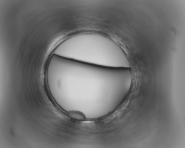 X0000110890053200906181015
